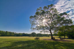 This photo captures a tranquil park on a sunny afternoon. Sunlight filters through a large tree beside a bench, creating a serene atmosphere.