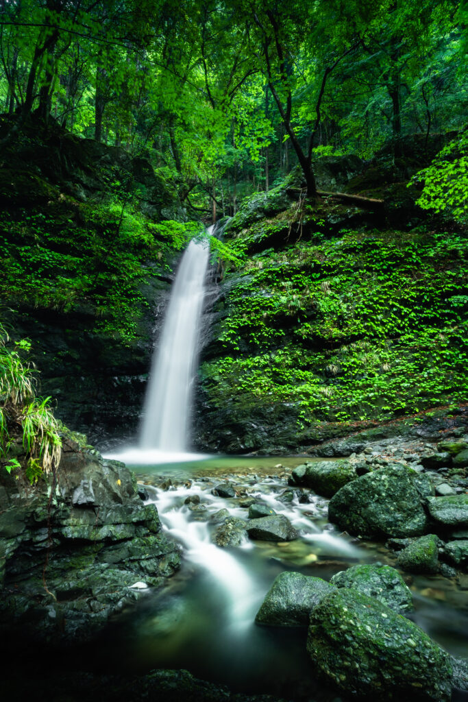 The featured image showcases a breathtaking waterfall surrounded by lush greenery. The flowing water and vibrant foliage create a tranquil scene, inviting viewers to immerse themselves in the natural beauty.