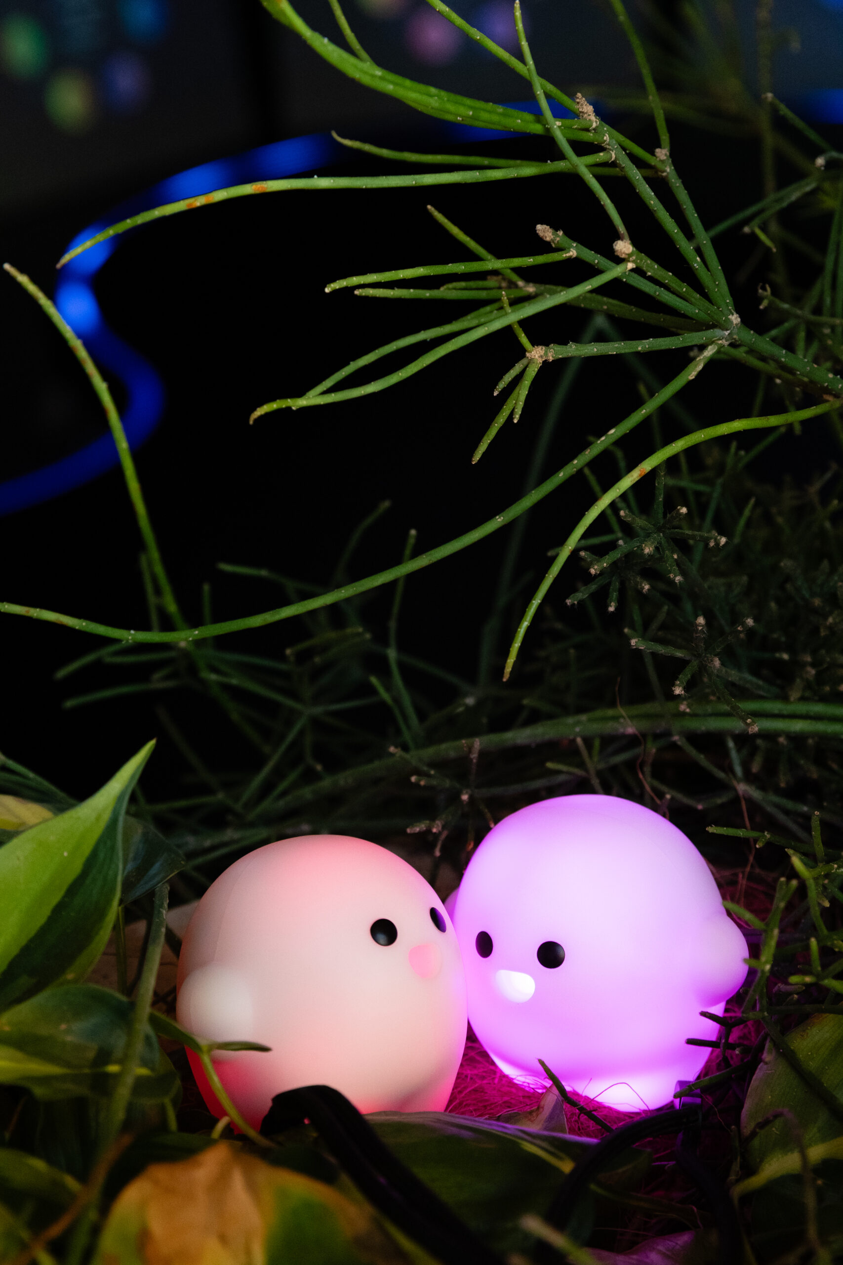 Image of illuminate your space with these enchanting, glowing orb toys nestled among lush green foliage. these ambient night lights feature vibrant pink and purple hues, ideal for creating a cozy, whimsical atmosphere in home decor settings. perfect for fans of unique lighting solutions and decorative plant